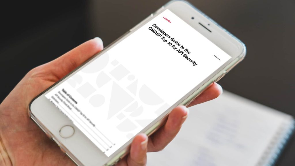 Developers Guide to the OWASP Top 10 for API Security - B2B Insights