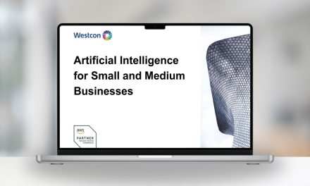 Artificial Intelligence for Small and Medium Businesses