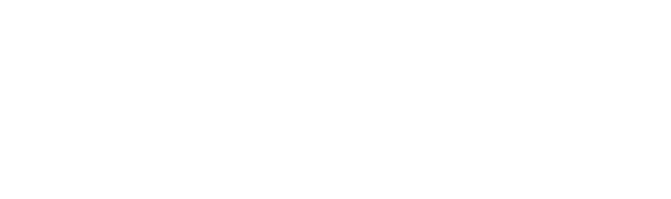 magnetfor_logo2line_white_rgb