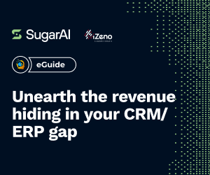 Unearth the revenue  hiding in your CRM/ERP gap